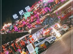 -枇杷园食为鲜火锅(南山店)