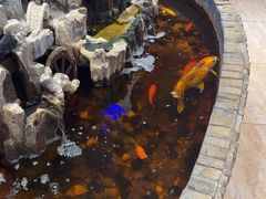 -香约老地方烧烤(九道街店)