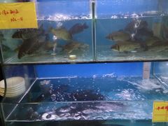 水产区-老村长土菜馆(湖墅南路店)