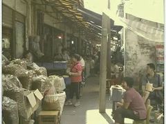 -清平中药材专业市场