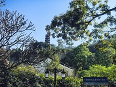 -南沙蒲洲花园