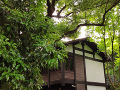 -中国茶叶博物馆(双峰馆区)