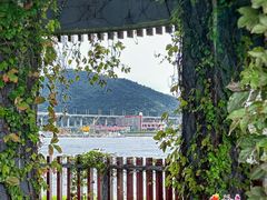 -芒洲湿地公园