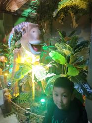 -恐龙探索乐园(磁器口店)