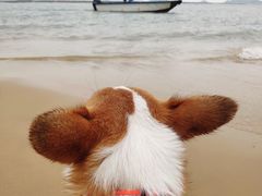 -珠海金沙滩