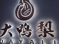 -大鸭梨烤鸭(望京店)