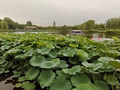 -西海子公园
