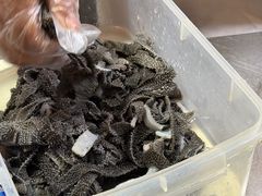 -东门口·鲜爆肚涮肉·烧烤(老门东店)