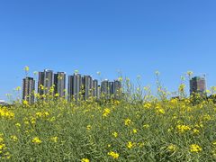 -光明小镇欢乐田园