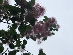 -绿堤公园