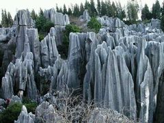 android_upload_pic-千岛湖石林