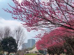 -杭州城北体育公园