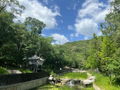 -白水寺森林公园