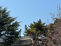 -湛山寺