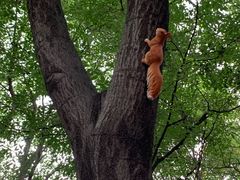 -终南山南五台景区