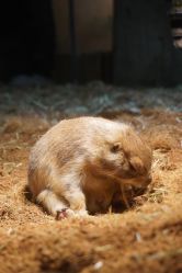 -Zoolung Zoolung动物主题公园(海信广场店)