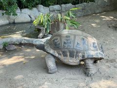 -广州长隆飞鸟乐园