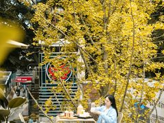 -大众茶馆·悠茶小驿(一中店)