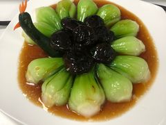 -爱月宝月嫂·育儿嫂(哈尔滨总店)