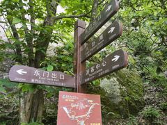 -燕子河大峡谷天坑仙境