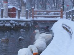 -水磨沟公园
