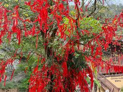 -车溪民俗旅游区