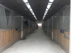 -松声马术俱乐部