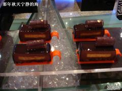 布朗尼-咖啡苑自助餐厅·中国大饭店