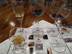 -紫轩葡萄酒庄园