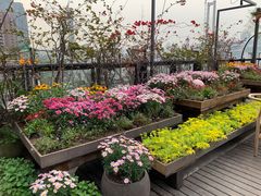 -冰冰龙虾·江湖菜·花园江景餐厅