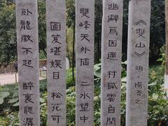 -重庆彩云湖湿地公园
