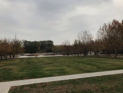 -大望京儿童游乐场