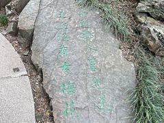 -香雪海