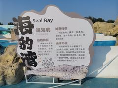 -秦皇岛乐岛海洋王国