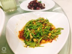 -圆苑(上海广场店)