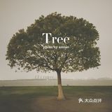 探寻超出片的网红“一棵树”攻略❗❗