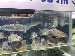 -胖姐渔村(中源大道店)