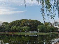 -新江湾城公园