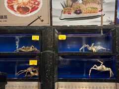-万宝海鲜舫(劳动公园店)