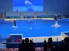 -石家庄市动物园