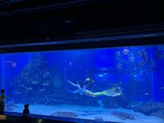 -顺德南宏海立方海洋公园