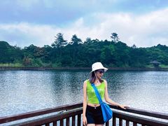 -海南热带雨林国家公园吊罗山景区