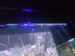 -魅KTV·AI辅唱(簋街店)