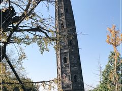 -上海佘山国家森林公园天马山园