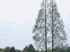 -中国天府农业博览园