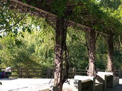 -新江湾城公园