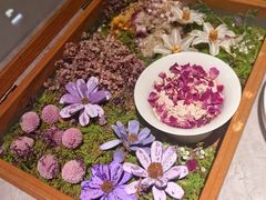 -芸山季·云南野生菌火锅(宝能环球汇店)