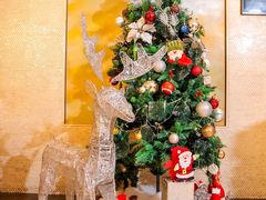 -上海明天广场JW万豪酒店