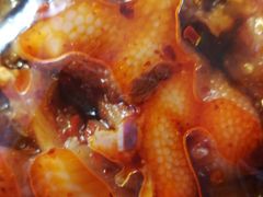 -脱骨凤爪(石桥店)