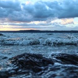 -薇兰专业脱毛连锁机构